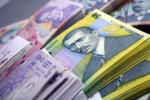 Aproape 22.000 lei strânşi la licitaţia civilă