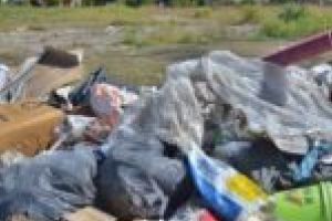 Se caută voluntari pentru curăţenie în Dumbrăviţa. Din nou!