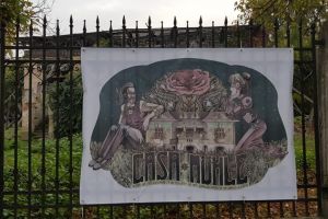 Casa Muhle „urlă” de durere, prin artă: „Vreau să înfloresc la loc!”