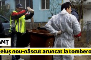 NEAMȚ: Descoperire şocantă în Piatra-Neamţ! Bebeluş nou-născut găsit aruncat la tomberon