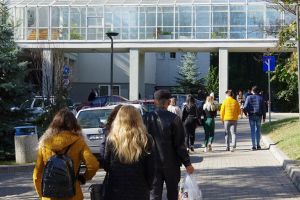 Apel pentru studenţii economişti şi cei de la Istorie şi Geografie de a face practică pe ...