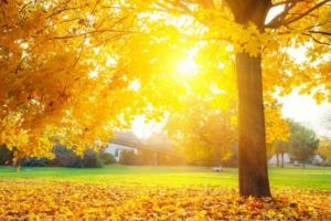 Meteo. Schimbare grea de temperatură în weekend. Ce a emis ANM?!