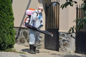 28 de focare de pestă porcină în Bihor: Au apărut unele noi în Derna, Galoşpetreu şi Săcueni