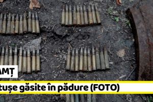 NEAMȚ: Cartuşe găsite în pădure (FOTO)