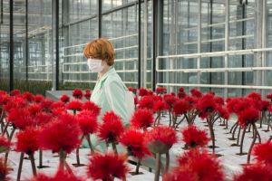 Prima ediţie a Les Films de Cannes à Botoşani prezintă filmele premiate la Cannes 2019. Când are loc evenimentul!