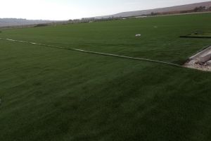 O comună din judeţul Botoşani are cel mai modern teren de fotbal din ţară: „Covorul a venit din Franţa iar granulele din Grecia”