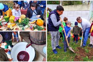 FOTO. Grădiniţa din Satu Mare unde copiii culeg struguri şi fac must