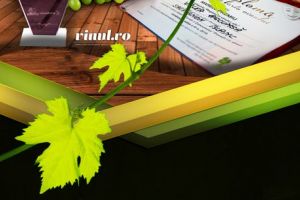 Medalia de aur pentru Sauvignon Blanc de la Crama Valea Ascunsă