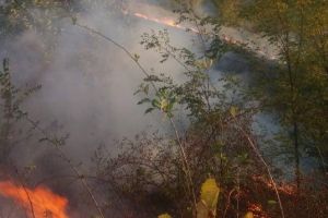 Intervenţie pentru stingerea unui incendiu de vegetaţie uscată la Panciu