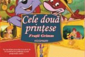 Biblioteca Judeţeană „Alexandru şi Aristia Aman”: Cele două prinţese – Fraţii Grimm (vizionare)