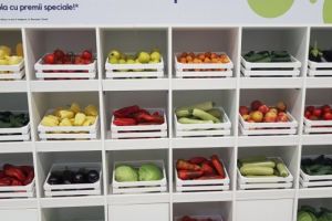 Carrefour ofera fructe si legume in schimbul PET-urilor, in 5 orase. Vezi unde