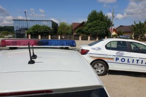 Conduceau cu permise false