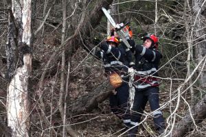 Copacul i-a rupt piciorul