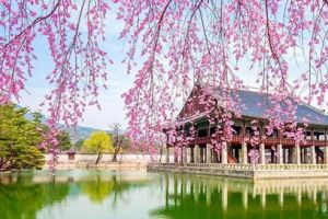 Expoziţie despre Coreea de Sud, în Cetatea medievală