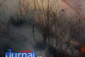 15 hectare de vegetaţie uscată mistuite de flăcări la Haret