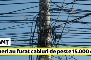 NEAMȚ: Cinci tineri au furat cabluri de peste 15.000 de lei
