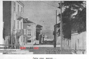 #DobrogeaDigitala Marturii de epoca privind istoria Dobrogei (1878-1947)“:  Constanta sa fie a Romanilor, iar nu a streinilor!“