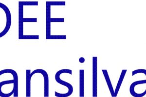 Societatea de Distribuţie a Energiei Electrice Transilvania Sud S.A