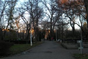 Nesimţire DUSĂ LA EXTREM! Ce au putut să facă nişte arădeni (FOTO)