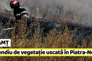 NEAMȚ: Incendiu de vegetaţie uscată în Piatra-Neamţ (FOTO)