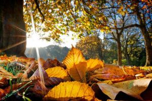 Prognoza meteo – Ce se întâmplă cu vremea din 21 octombrie