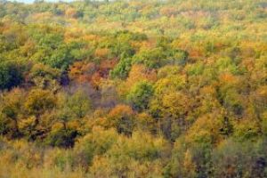 Maramures: Prognoza meteo pentru perioada 14 – 27 octombrie