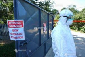 Focar de pestă porcină africană, confirmat într-o gospodărie din judeţ