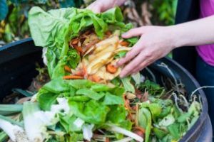 Mai multe blocuri din Sfântu Gheorghe incluse în programul de colectare a deşeurilor biodegradabile