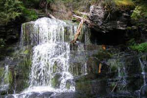 Ce comună din judeţ vrea să îşi administreze singură apele de munte şi de pe ce bursă speră să câştige bani