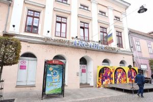 Toate cârpele sus! Steagul amplasat pe clădirea Teatrului Arcadia s-a „remarcat” de Ziua Oradiei