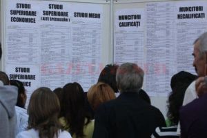 Cifre IREALE despre România. Peste 1,5 milioane dintre adulţi NU au muncit niciodată