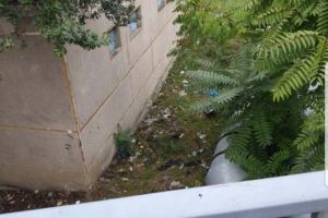 Ne enervează: Mizeriile din jurul atelierului OTL de pe Calea Borşului