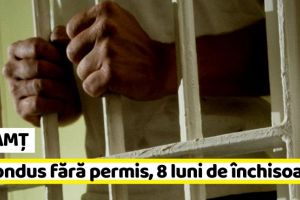 NEAMȚ: A condus fără permis, 8 luni de închisoare