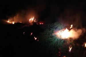 Incendiu in zona localitatii Murighiol. Pompierii intervin