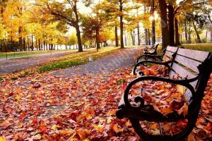 Vreme în continuare caldă cu temperaturi ce ating 24 de grade Celsius