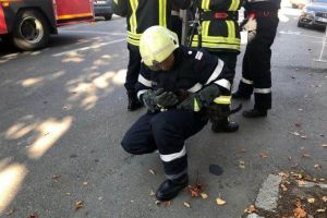 FOTO, VIDEO. O nouă misiune inedită a salvatorilor de la ISU Alba şi final fericit pentru o pisică, la Alba Iulia