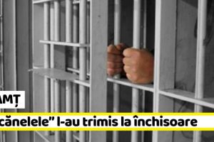 NEAMȚ: Trimis la închisoare pentru că a luat la pumni un aparat de „păcănele”