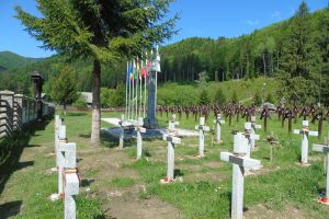 Cimitirul militar din Valea Uzului – Ministerul Apărării aşteaptă opinia statelor de care aparţin eroii înmormântaţi