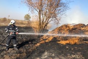 Incendiile de vegetaţie, o ameninţare reală. La Diosig, flăcările de pe câmp s-au apropiat periculos de case (VIDEO)