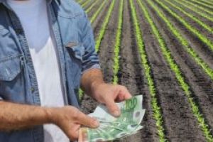 Peste 317 milioane euro au fost transferaţi către fermieri; target de 1,4 miliarde euro, până la 30 noiembrie