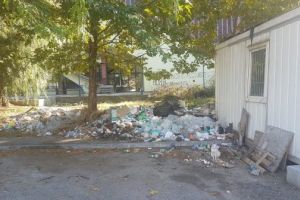 Imaginile vorbesc de la sine! Mica jungla de la intrarea in Parcul Monument / Focar de infectie si nepasare dupa coltul Salii Polivalente din Braila