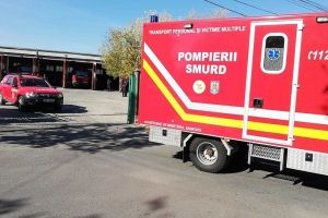 Incendiu în Viile Sibiului. Ard deşeuri de carton