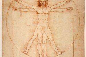 Omul Vitruvian, unul dintre desenele lui da Vinci, va fi expus la Muzeul Luvru în cadrul unei expoziţii
