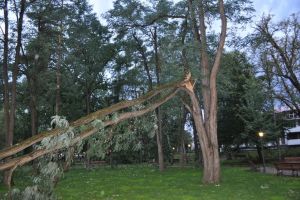 Imaginaţi-vă în Bistriţa aşa ceva!