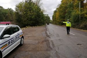 Amendă usturătoare dată de poliţiştii botoşăneni unui şofer: 5000 lei
