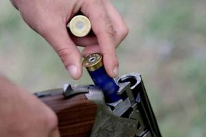 Caz TULBURĂTOR! Pădurar de 37 de ani din Maramureş, executat în stil mafiot de hoţii de lemne