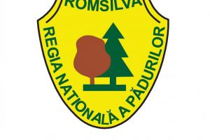 Padurar, impuscat mortal, in timp ce incerca sa previna o taiere ilegala. Barbatul era casatorit si avea trei copii