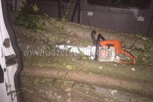 ROMSILVA: Pădurar ucis de hoţii de lemne. Bătut şi împuşcat a fost abandonat într-o vale