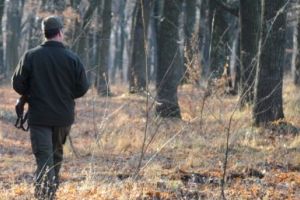 Pădurar UCIS în timp ce încerca să prevină o tăiere ilegală