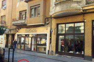 Caz şocant în Oradea: O pisică a fost lovită cu sălbăticie şi aruncată de la etaj dintr-un palat de pe Corso (FOTO)